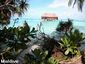 Maldive