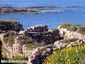 Mediterraneo