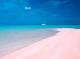Crociera in Polinesia in catamarano: la sabbia rosa di Rangiroa