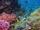 Maldive: crociera su yacht a motore