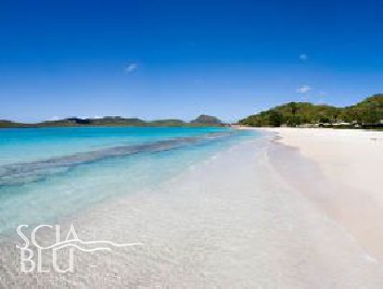 Le 365 spiagge di Antigua