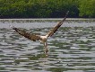 Visitare Langkawi dal mare