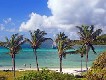 In crociera alle Tobago Cays