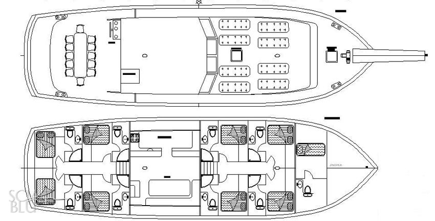 Delfin VI: layout