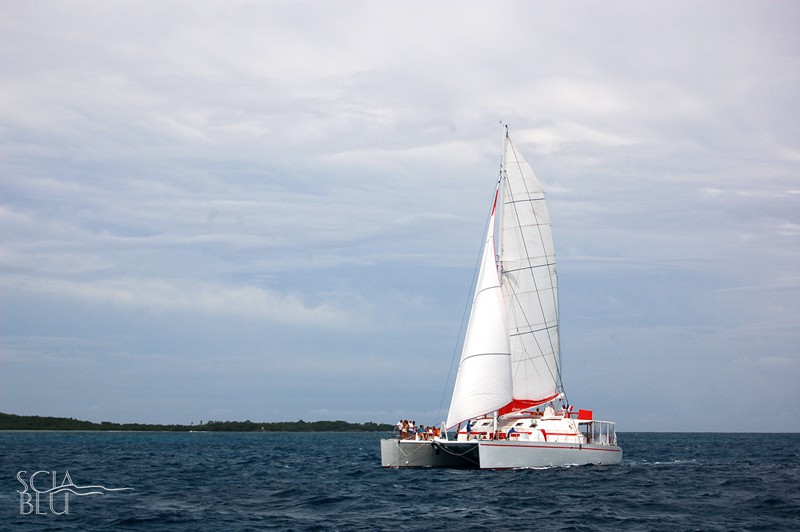 Catamarano 82 piedi Premier