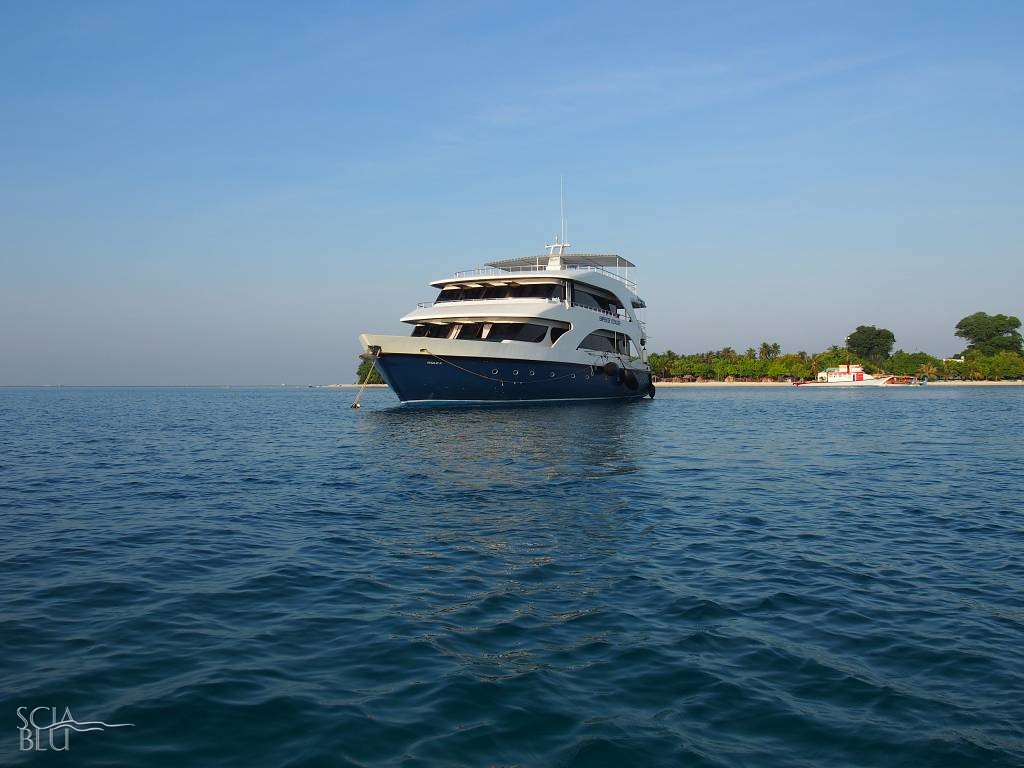 M/V E. Voy