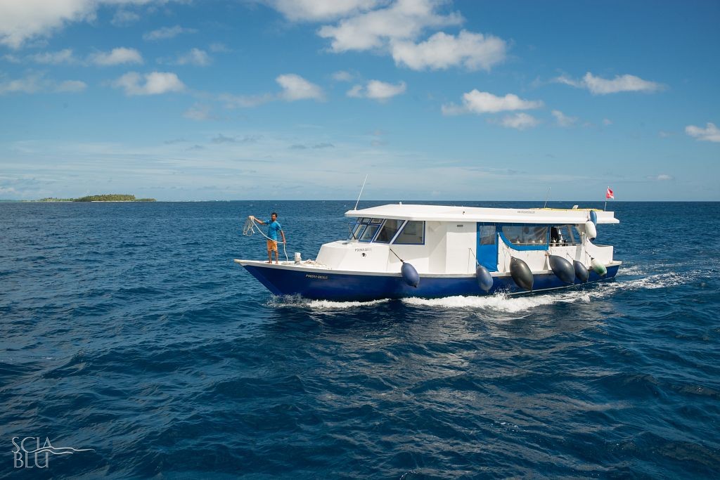 M/V E. Vir.