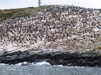 Capo Horn - Ushuaia