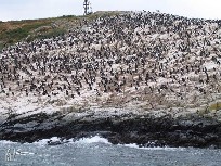 Capo Horn - Ushuaia