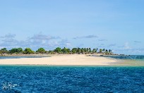  Zanzibar