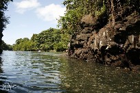 Mauritius