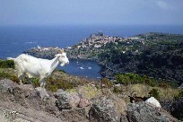 Arcipelago Toscano,  Elba