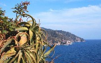 Riviera Ligure