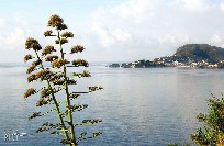 Ponza e Isole Pontine