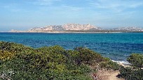 Sardegna