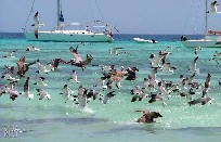 Los Roques