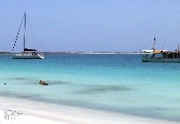 Los Roques