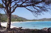 Corsica