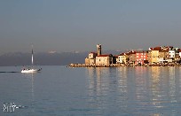 Slovenia - Izola