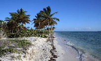 Cuba - Cayo Largo