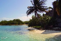 Cuba - Cayo Largo