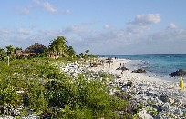 Cuba - Cayo Largo