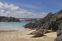 Galapagos