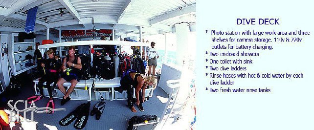 Dive deck