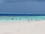 Crociera lunga in catamarano alle Maldive