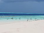 Crociera lunga in catamarano alle Maldive