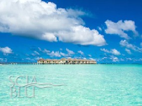 Maldive