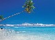 Polinesia in catamarano : crociera di 10 giorni con partenza da  Raiatea - Bora Bora - Tahiti